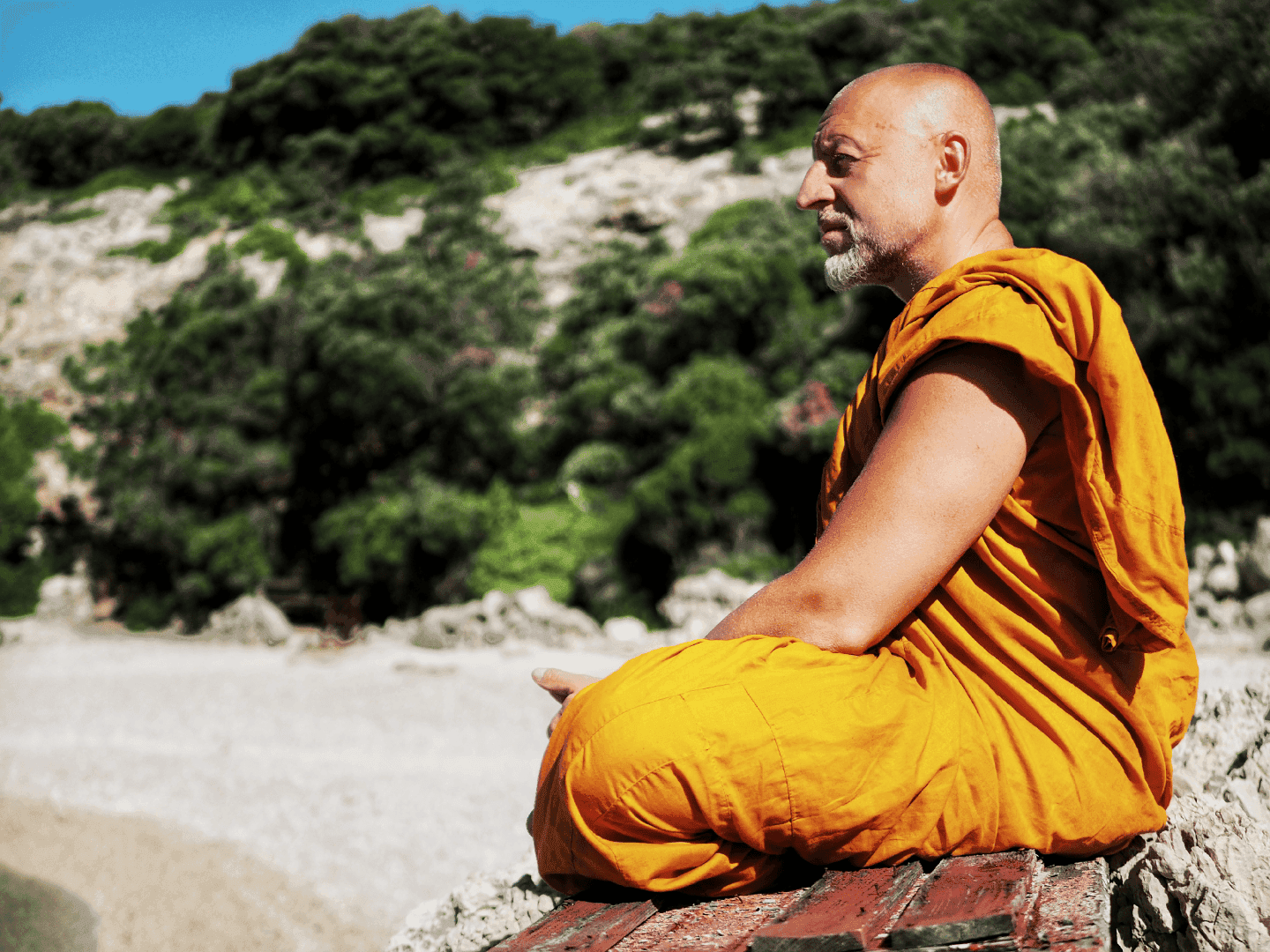 Res w Klasztorze Mnich